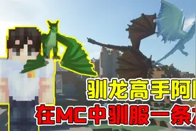 我的世界mod：史诗级龙模组，阿阳教你如何成为一名驯龙高手视频封面