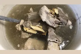 有椰香味的树根煲汤？五指毛桃牛大力猪骨汤，健脾祛湿，活洛筋骨