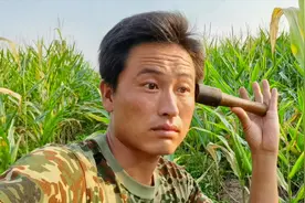 农民种植十几亩玉米，每亩地最多能收两百斤玉米，玉米棒小的可怜