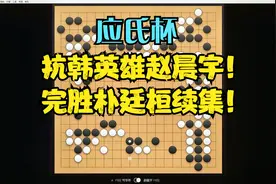 全网最快！续集，抗韩英雄赵晨宇完胜朴廷桓！后半盘稍有波澜视频封面