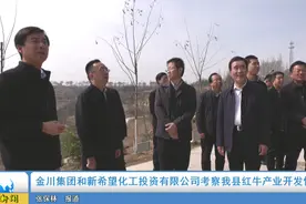 金川集团和新希望化工投资有限公司考察崇信县红牛产业开发情况视频封面