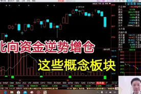 北向资金逆势增仓了哪些概念板块？这一行业主力机构连续加仓6周视频封面