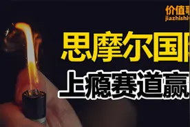跟茅台一样，思摩尔国际，绝对上瘾赛道的绝对龙头，关键估值超低视频封面