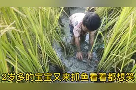 2岁多小宝宝才学抓鱼几次,看起来像抓鱼老手,太搞笑了视频封面