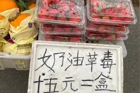 【今年夏天到处都是 奶油草毒】等一下！草毒是什么？