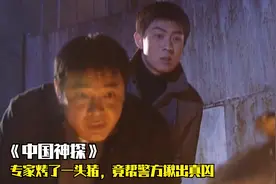 真实案例改编：大爷上访冤案，专家听后去烤了一头猪，竟揪出真凶视频封面