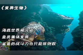 海底世界被污染，变异后的鲨鱼战斗力也只能排倒数视频封面