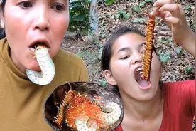 菜园里的这种土蚕也是种美味！柬埔寨饮食果然不一般~视频封面