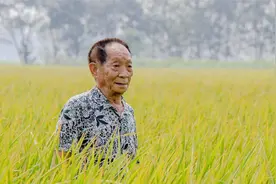“杂交水稻之父”袁隆平院士，您是当之无愧的中华拓荒人！视频封面