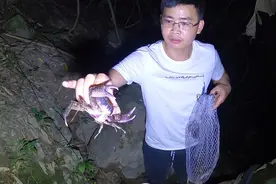 小伙子晚上进山抓紫蟹，偶遇恐怖大蚂蚁，吓得直冒冷汗