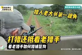 打猎还抵看老猎手，猎人老大爷第一视角，看如何猎捕鬣狗视频封面