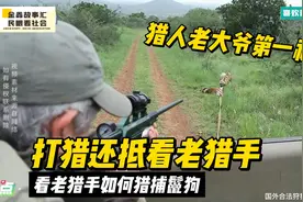 打猎还抵看老猎手，猎人老大爷第一视角，看如何猎捕鬣狗视频封面