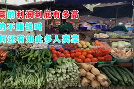 卖菜的利润到底有多高？真的不赚钱吗？为何还有如此多人卖菜