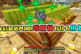 我的世界：堆肥桶的冷知识，能将蛋糕转换成骨粉肥料，感觉好亏啊