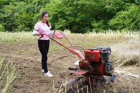 农村又到了打菜籽的季节，老爸想出一个新方法，10分钟就搞定了