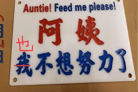 高考作文：可为与有为。答： “生三胎可为，已生三胎有为。”视频封面