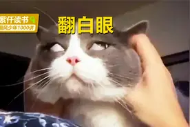 眼睛是心灵的窗户，为什么“白眼”等同于轻视呢？视频封面