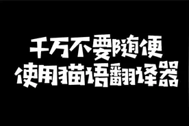 原来猫语翻译器真的可以实现人猫无障碍沟通