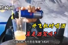 飞机上的惊险瞬间，英雄机长的神操作，开飞机喝啤酒算是酒驾吗？视频封面
