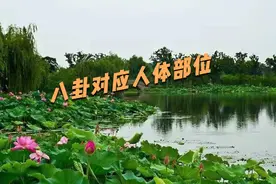 八卦对应人体部位视频封面