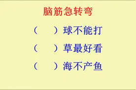 脑筋急转弯：什么球不能打？什么草最好看？什么海不产鱼视频封面