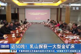 近50吨！乳山探获一大型金矿床，是目前威海市已发现最大金矿视频封面