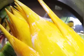 老妈炖一锅地金莲鸭肉汤，说吃了好，大家来说说有什么神奇功效吧视频封面