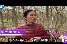 河南许昌：70多岁老两口的3000多棵树滞销，小莉帮忙来了视频封面