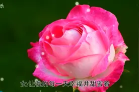 星月组合情歌对唱精选3首