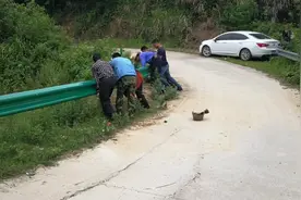 乡村公路适合使用什么样的波形护栏？多少钱一米？视频封面