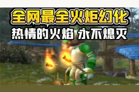【老司机】全网最全的火炬武器幻化，热情的火焰，永不熄灭！视频封面