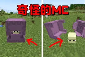 我的世界：潜影贝能拆开吗？这波直接把老玩家都给整懵了！