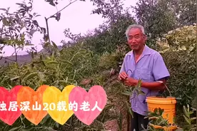 探访济南东坡北山岭，老汉独居深山20载不下山，漫山野枣拴住了他视频封面