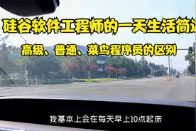 老刘：硅谷程序员日常工作分享，大神级别一周竟只工作两天？视频封面