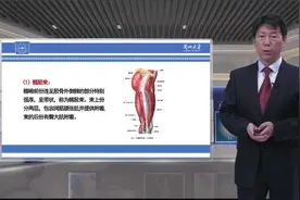 2.2 股前内侧区深层视频封面