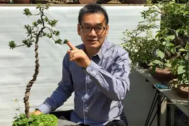 阳台小盆景 第589期 珍珠罗汉松开花视频封面