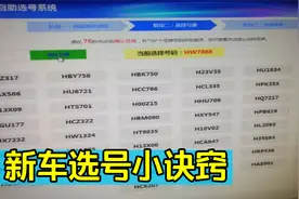 新车选车牌号不用去车管所，教你一招就能轻松选到靓号，涨知识了视频封面