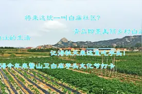 山东合村并居正稳妥推进，探访青岛即墨白庙，这有我们向往的生活