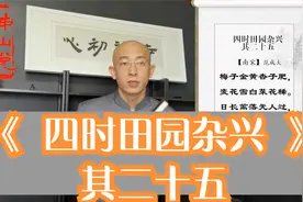 诗词初心-【南宋】范成大《四时田园杂兴》不懂中医的解读骗了你视频封面