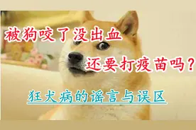 被狗咬了没出血 还要打疫苗吗？狂犬病的谣言与误区