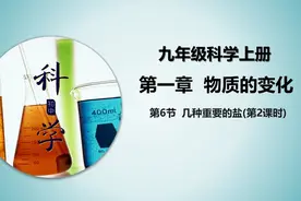 浙江科学九年级上册1.6.2几种重要的盐—氯化钠、盐的性质（2/4）视频封面