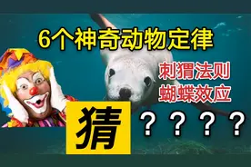 有关动物的6个神奇定律，你知道几个？猜对4个算你赢视频封面