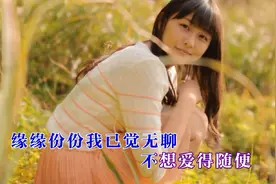 蒋志光, 韦绮姗 《相逢何必曾相识》，经典粤语情歌MV视频封面