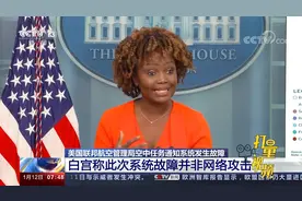 最新！全美范围内航班停飞，或为系统文件损坏所致视频封面