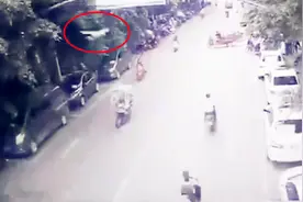 实拍：大鹅突然空降马路 骑电动车女子被砸撞车受伤视频封面