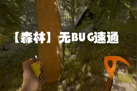 【森林】无BUG速通 27分51秒视频封面