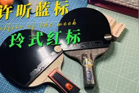 【蘑菇乒乓】同时制作两套顶级乒乓球拍是什么体验？视频封面