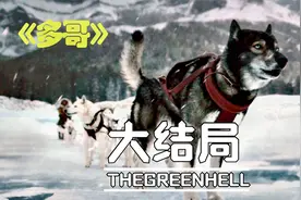 真实事件改编，多哥大结局，感动到哭（下）#电影解说