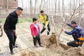 4岁萌娃当队长，指挥一家人干活，顺口溜出个冷笑话，爸爸无语了视频封面