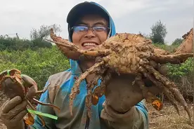 运气来了挡不住，渔夫白捡1只巨蟹王，这是把买彩票的运气都用上视频封面